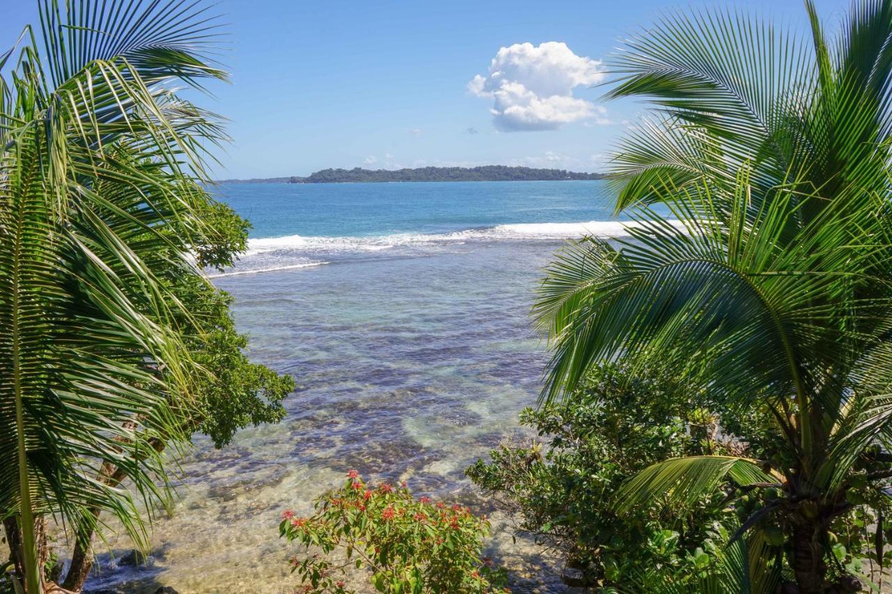 Mosana Reef Garden B&B Bocas del Toro Exterior photo