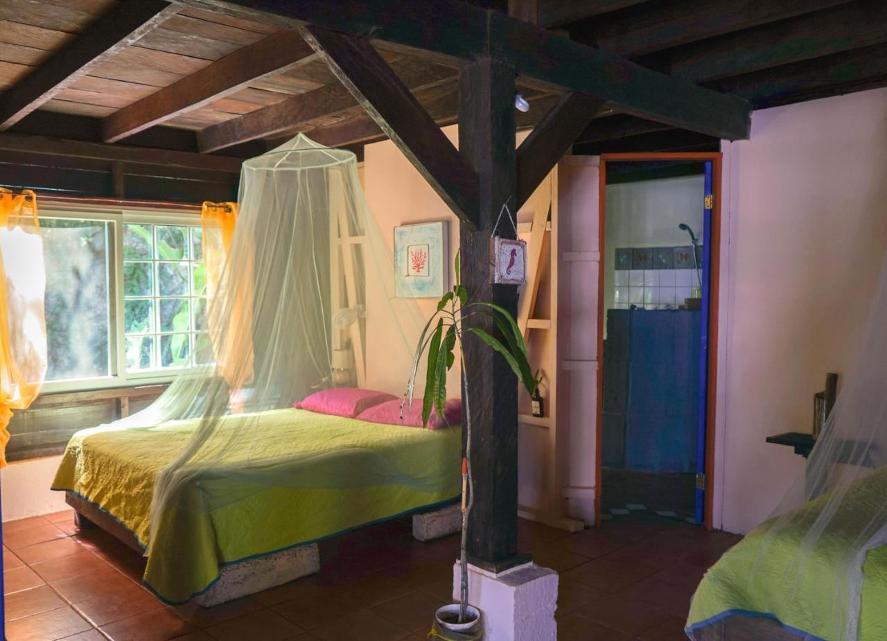 Mosana Reef Garden B&B Bocas del Toro Exterior photo